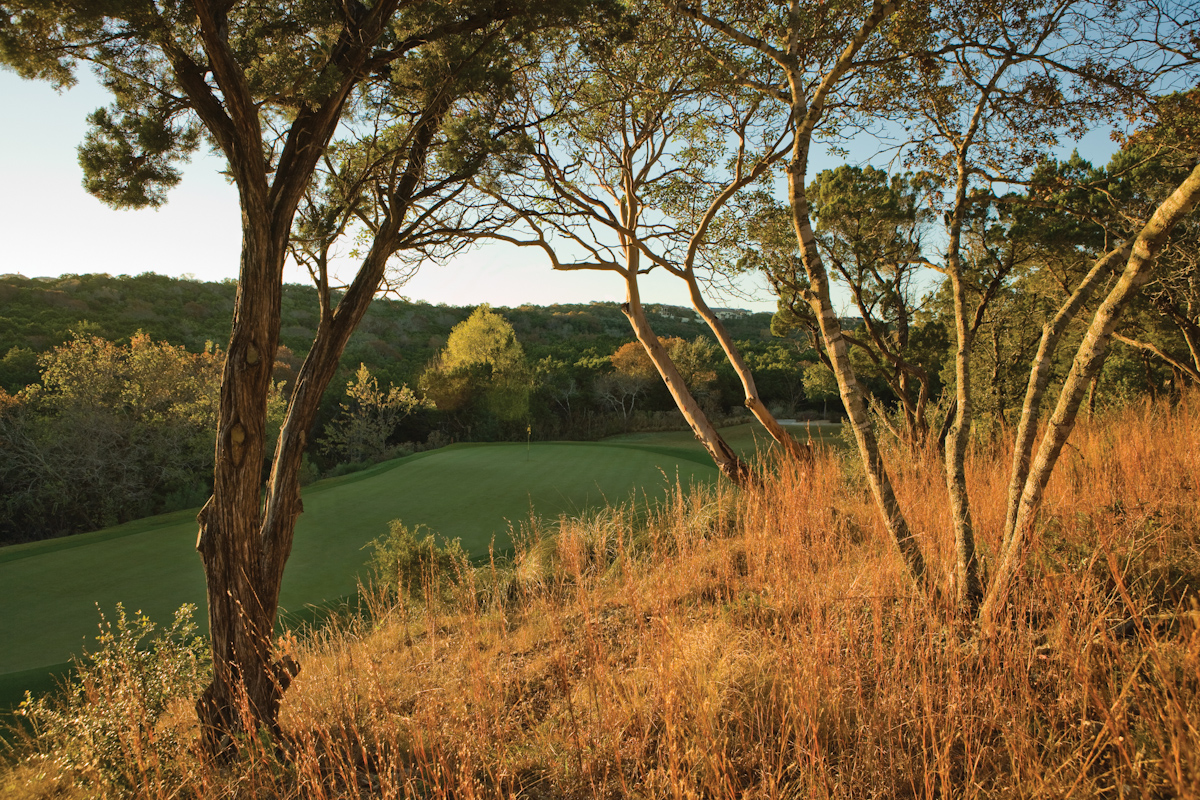 Amarra Drive